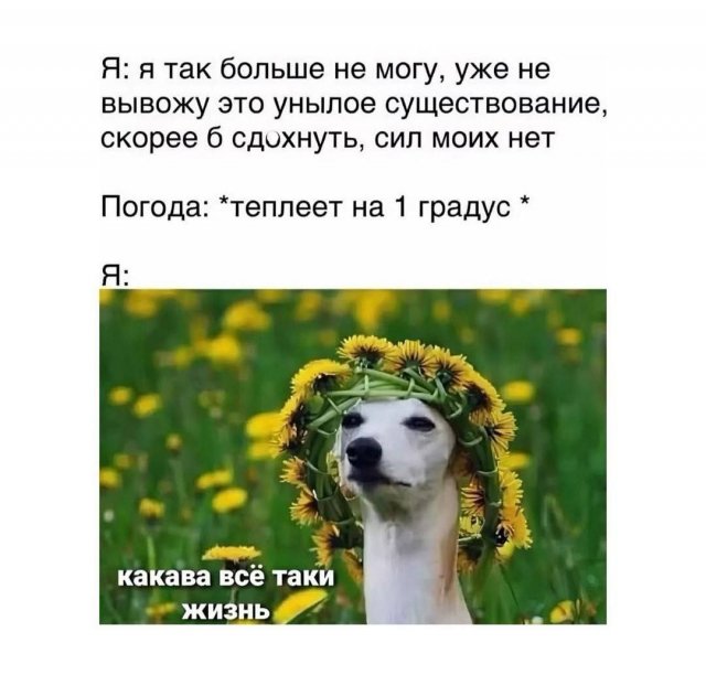 Лучшие шутки и мемы из Сети - 27.10.2025