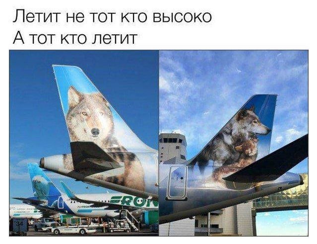Лучшие шутки и мемы из Сети - 27.10.2025