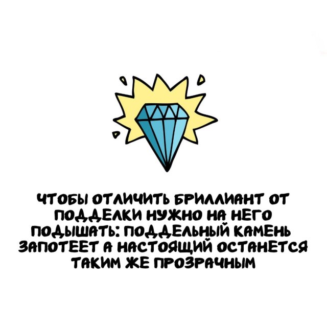 Интересные факты на все случаи жизни