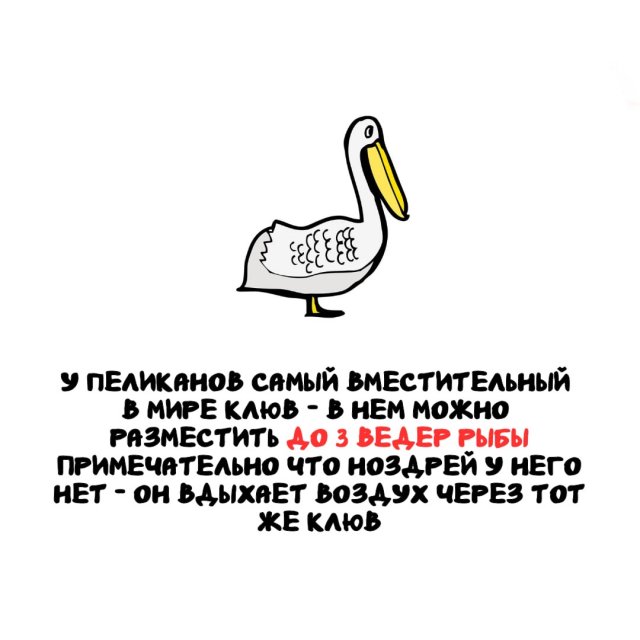 Интересные факты на все случаи жизни