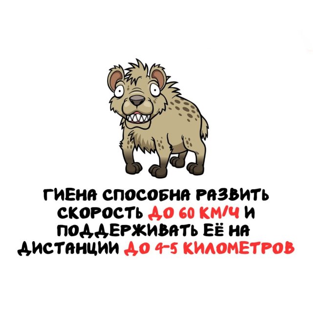 Интересные факты на все случаи жизни