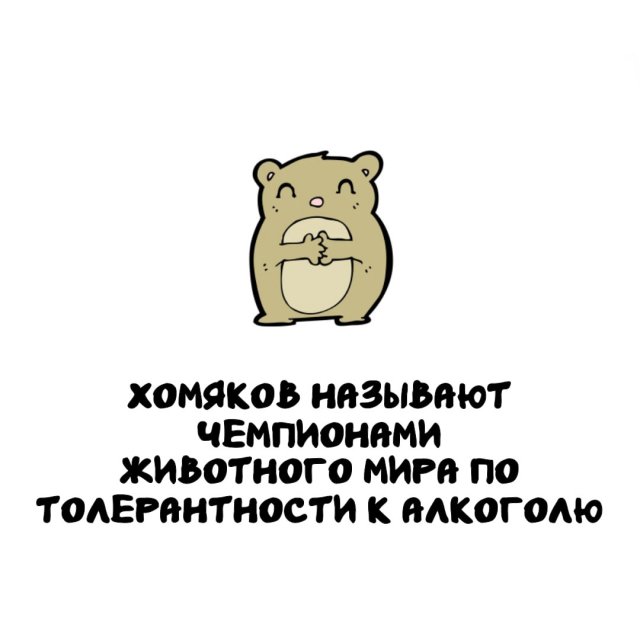 Интересные факты на все случаи жизни