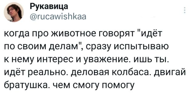 Подборка забавных твитов обо всем