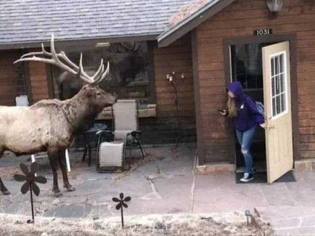 Подборка картинок. Вечерний выпуск - 28.10.2025