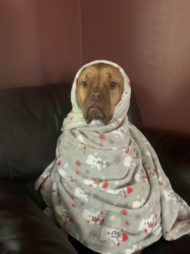 Подборка картинок. Вечерний выпуск - 28.10.2025