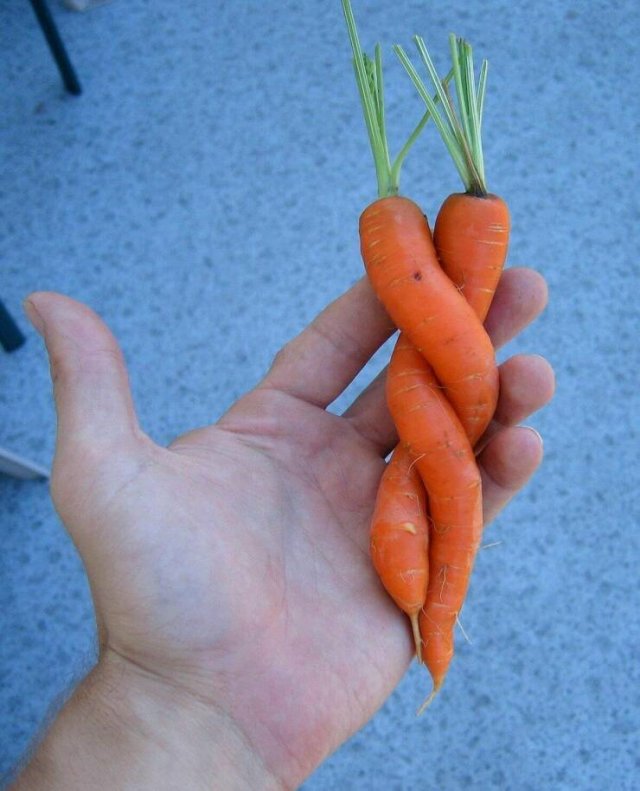 Подборка картинок. Вечерний выпуск - 28.10.2025