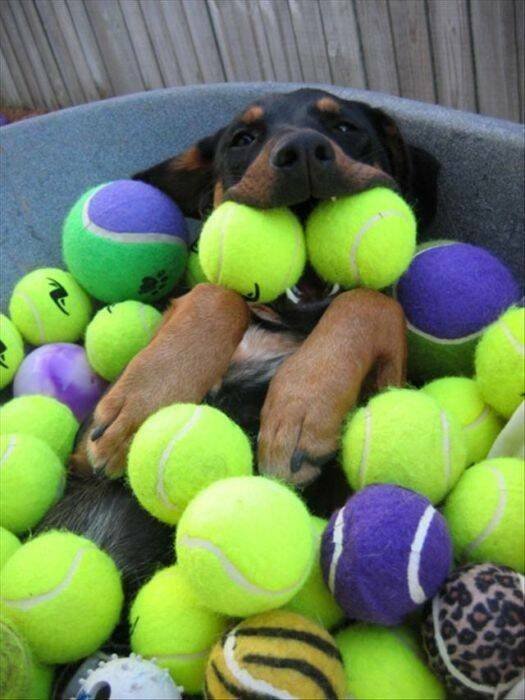 Подборка картинок. Вечерний выпуск - 28.10.2025