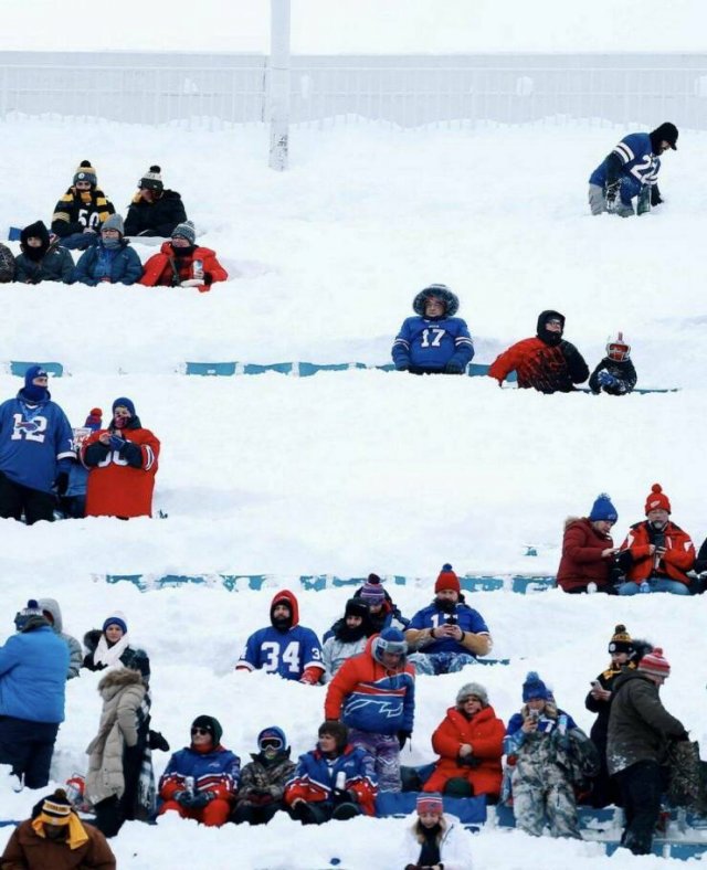 Подборка картинок. Вечерний выпуск - 28.10.2025
