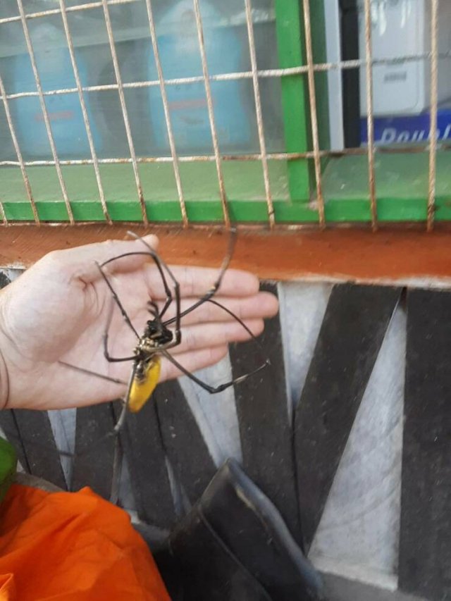 Подборка картинок. Вечерний выпуск - 28.10.2025