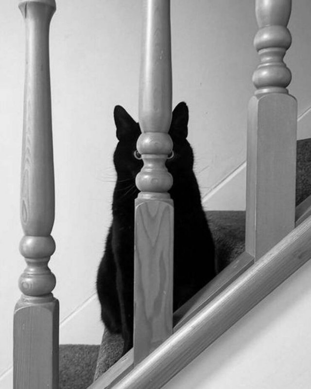 Подборка картинок. Вечерний выпуск - 28.10.2025