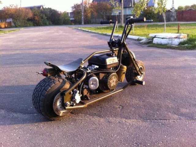 Подборка картинок. Вечерний выпуск - 28.10.2025