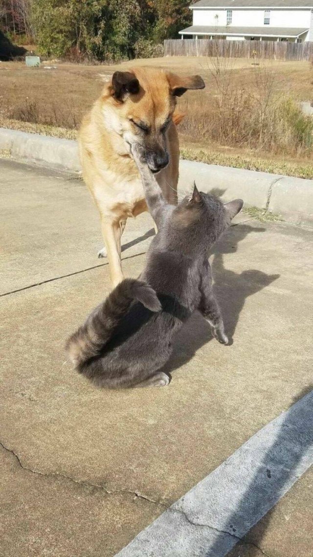 Подборка картинок. Вечерний выпуск - 28.10.2025