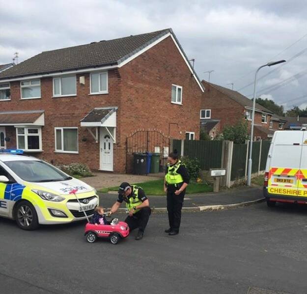 Подборка картинок. Вечерний выпуск - 28.10.2025