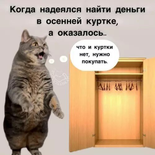 Лучшие шутки и мемы из Сети - 28.10.2025