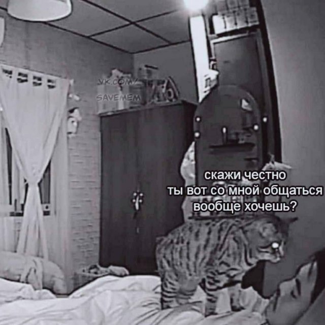 Лучшие шутки и мемы из Сети - 28.10.2025