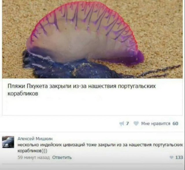 Лучшие шутки и мемы из Сети - 28.10.2025