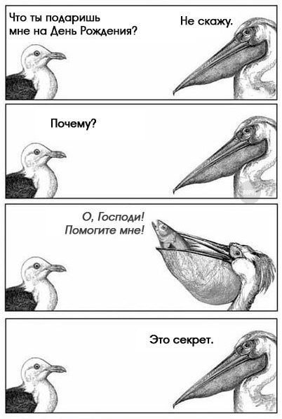 Лучшие шутки и мемы из Сети - 28.10.2025