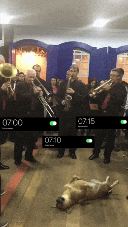 Подборка гифок -  29.08.2025