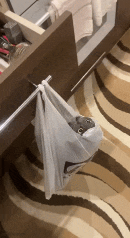 Подборка гифок -  29.08.2025