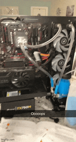 Подборка гифок -  29.08.2025