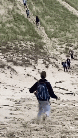 Подборка гифок -  29.08.2025