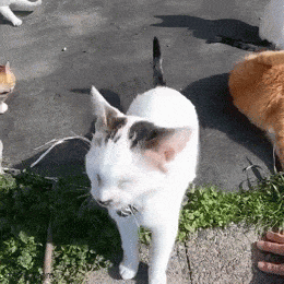 Подборка гифок -  29.08.2025