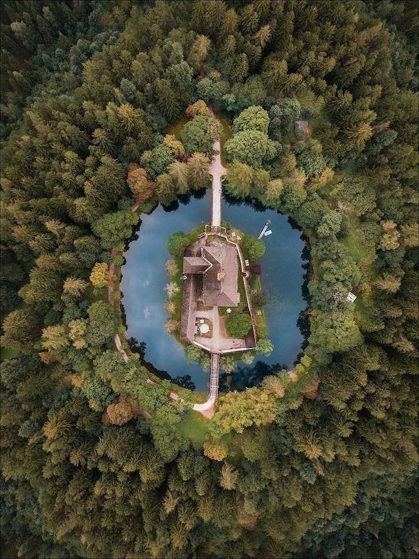 Подборка картинок. Вечерний выпуск - 29.10.2025