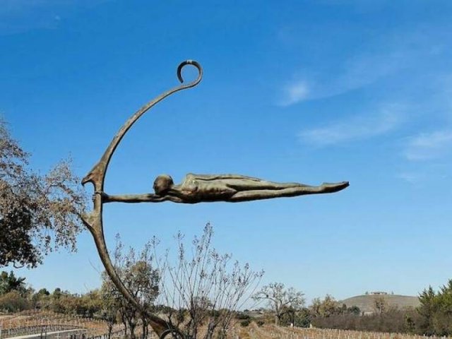 Подборка картинок. Вечерний выпуск - 29.10.2025