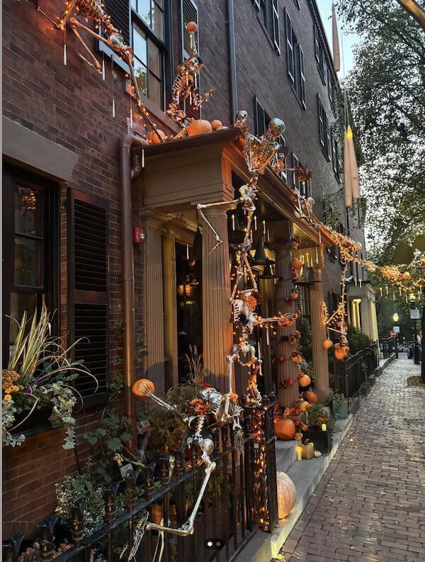 Подборка картинок. Вечерний выпуск - 29.10.2025