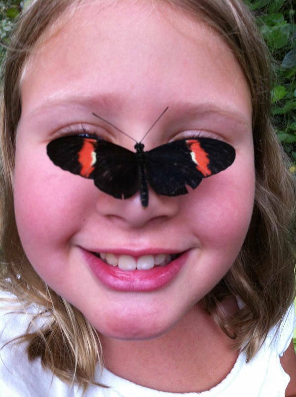 Подборка картинок. Вечерний выпуск - 29.10.2025