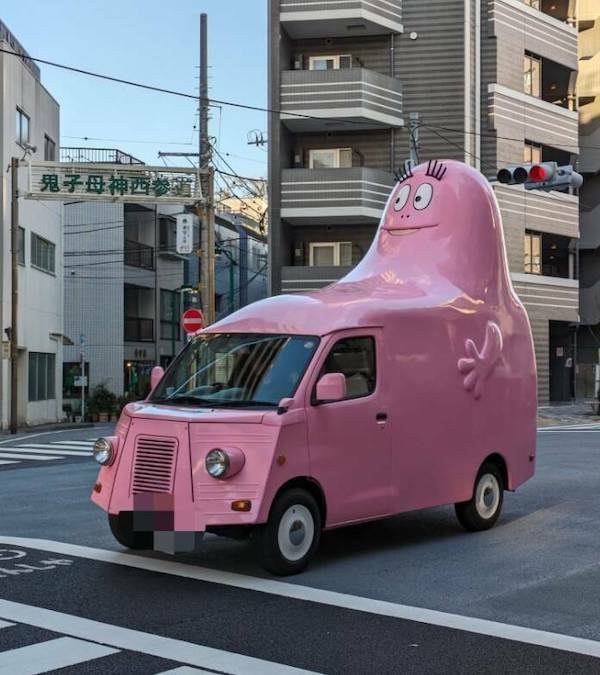 Подборка картинок. Вечерний выпуск - 29.10.2025