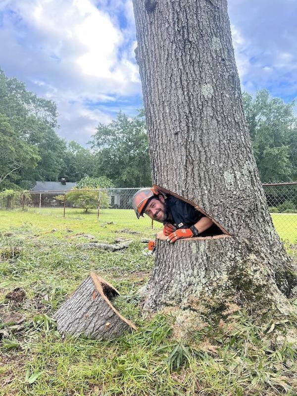 Подборка картинок. Вечерний выпуск - 29.10.2025