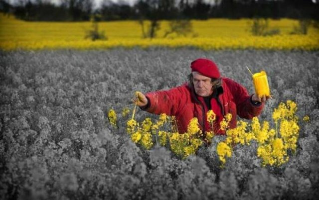 Подборка картинок. Вечерний выпуск - 29.10.2025