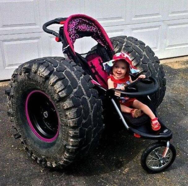 Подборка картинок. Вечерний выпуск - 29.10.2025