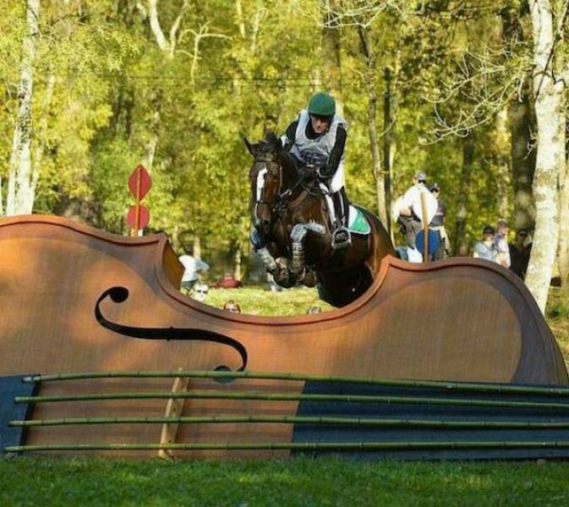 Подборка картинок. Вечерний выпуск - 29.10.2025