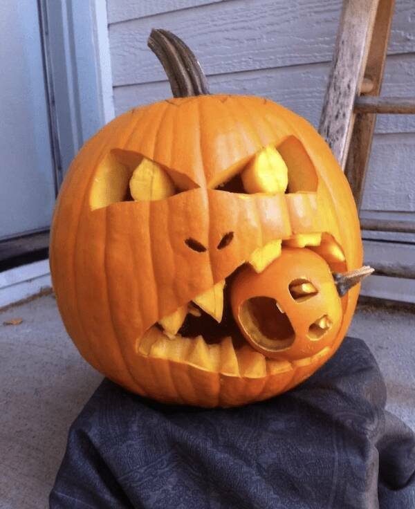 Подборка картинок. Вечерний выпуск - 29.10.2025