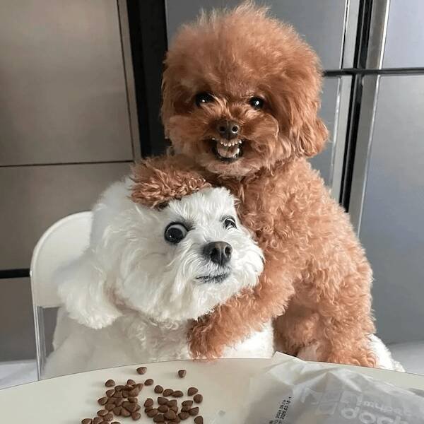 Подборка картинок. Вечерний выпуск - 29.10.2025