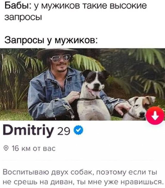 Лучшие шутки и мемы из Сети - 29.10.2025