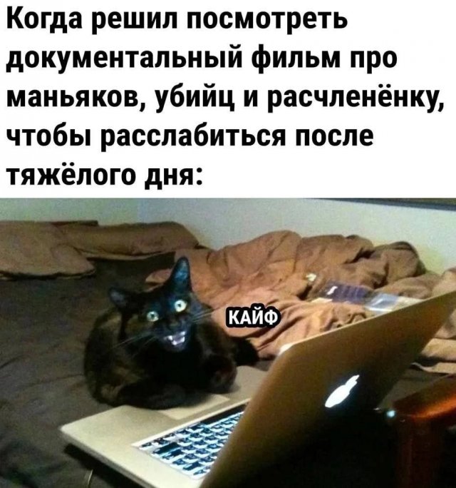 Лучшие шутки и мемы из Сети - 29.10.2025