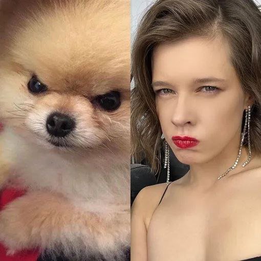 Екатерина Шпица отмечает 40-летие: лучшие фото актрисы