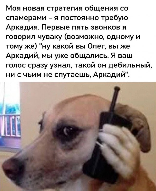 Смешные мемы - 30.10.2025