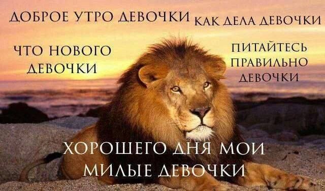 Смешные мемы - 30.10.2025