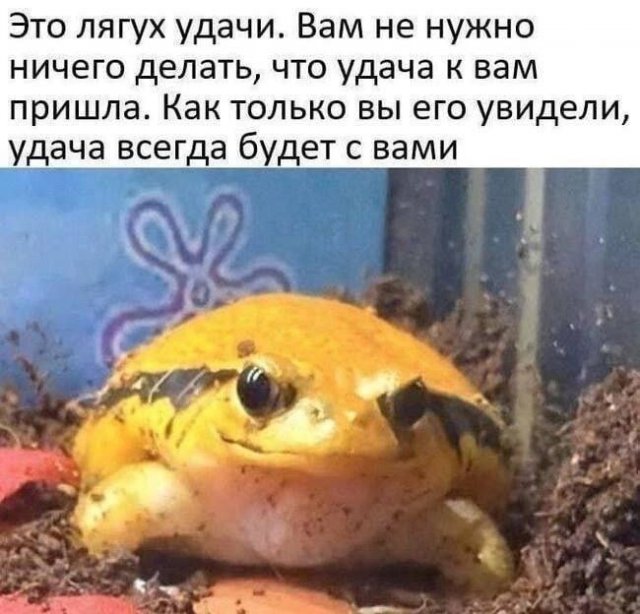 Смешные мемы - 30.10.2025