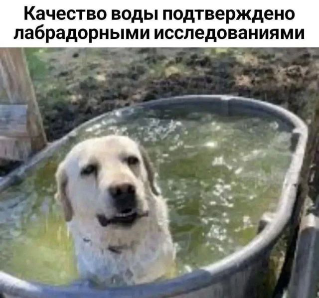 Подборка каламбуров и лингвистических приоклов