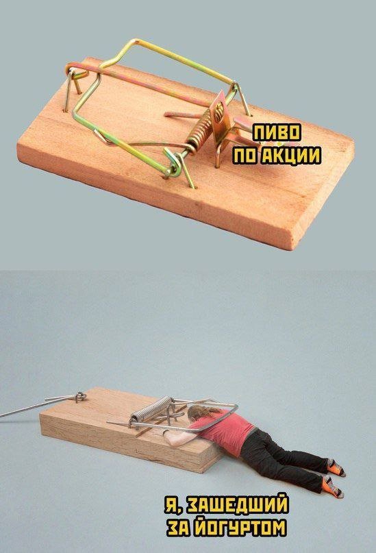 Смешные картинки - 30.10.2025