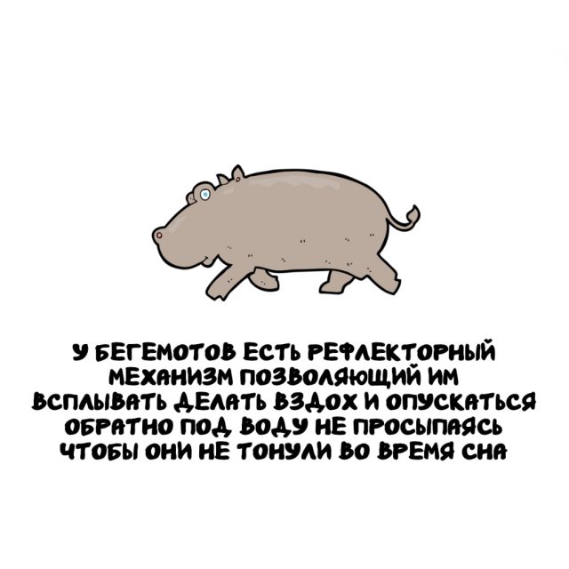 Интересные факты на все случаи жизни