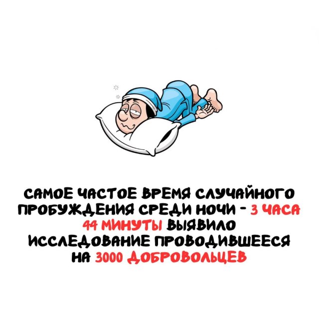 Интересные факты на все случаи жизни