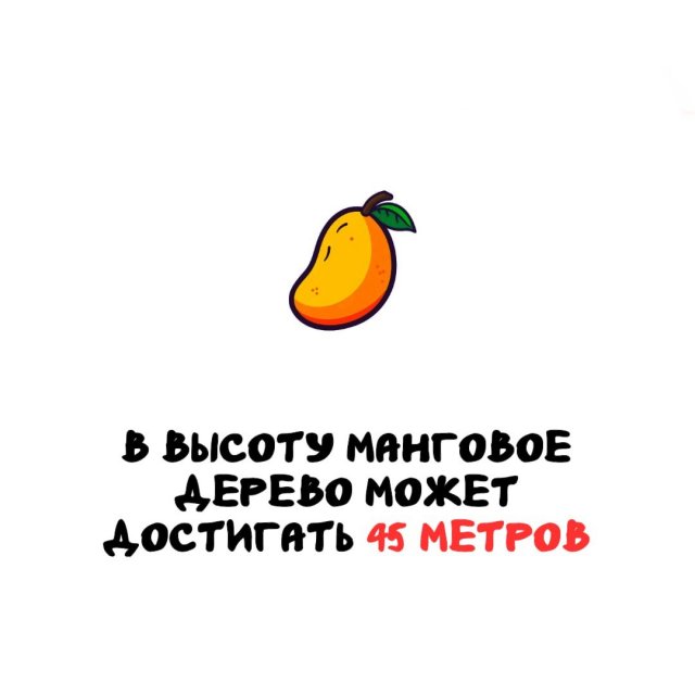 Интересные факты на все случаи жизни