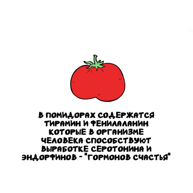 Интересные факты на все случаи жизни