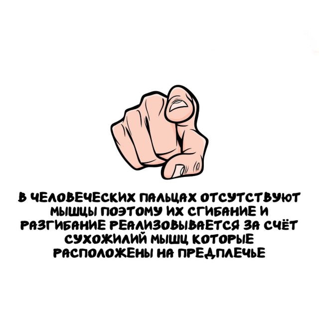 Интересные факты на все случаи жизни